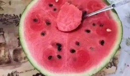 瓜在体育圈是什么意思 吃瓜爆料大事件真相,揭秘体育圈吃瓜爆料背后的真相